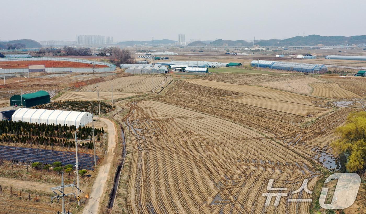 본문 이미지 - 경기도의 한 농지 모습. 2026.4.1 ⓒ 뉴스1 김영운 기자