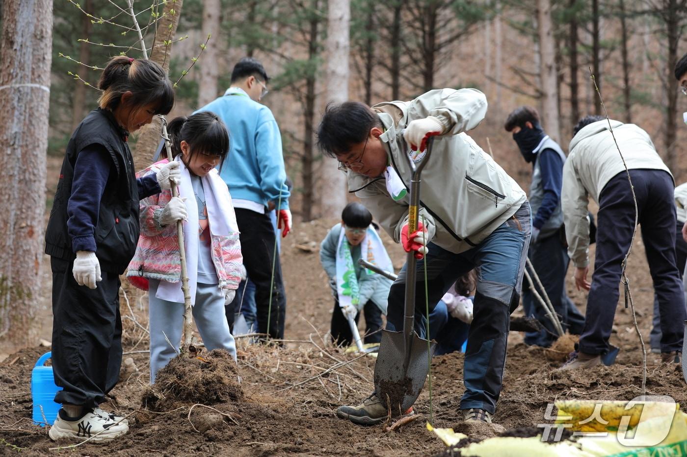 본문 이미지 - 국립백두대간수목원 숲정원 식재행사 모습. (한국수목원정원관리원 제공.재판매 및 DB금지)/뉴스1