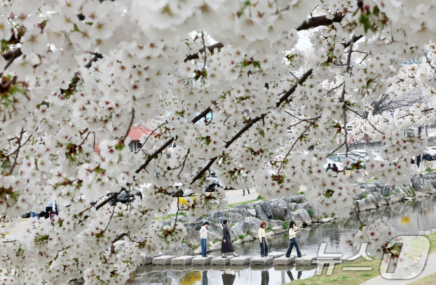 본문 이미지 - 〈자료사진〉
