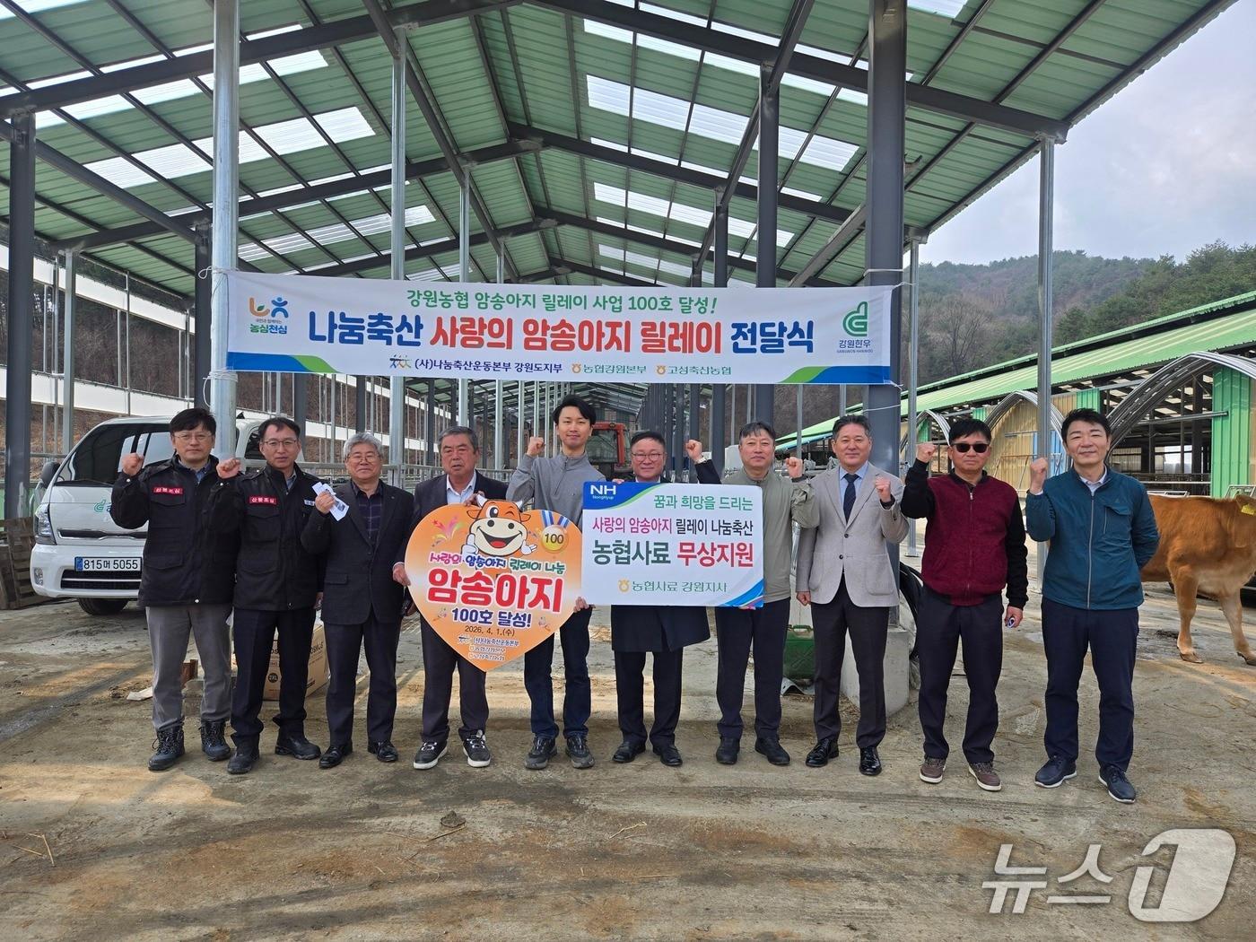 본문 이미지 - '사랑의 암송아지 릴레이 전달' 행사.(농협 강원본부 제공. 재판매 및 DB금지)/뉴스1