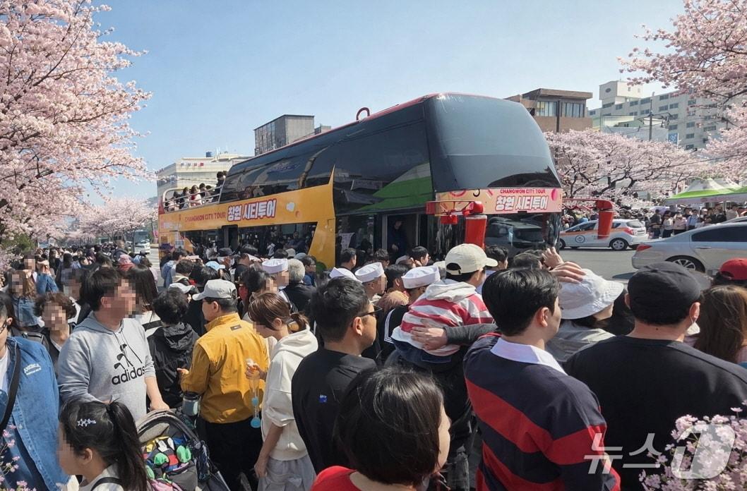 본문 이미지 - 진해군항제를 맞아 특별 운행 중인 '벚꽃 투어버스'(창원시 제공. 재판매 및 DB금지)