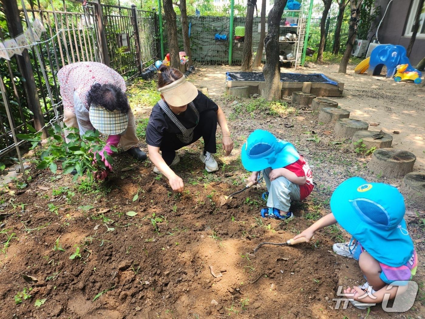 본문 이미지 - 해운대구 생태유아교육 현장 사진.(해운대구 제공. 재판매 및 DB금지)