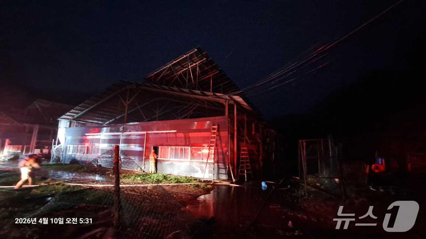 본문 이미지 - 강원 횡성 서원면 금대리 양계장 화재 현장.(강원도소방본부 제공, 재판매 및 DB금지)