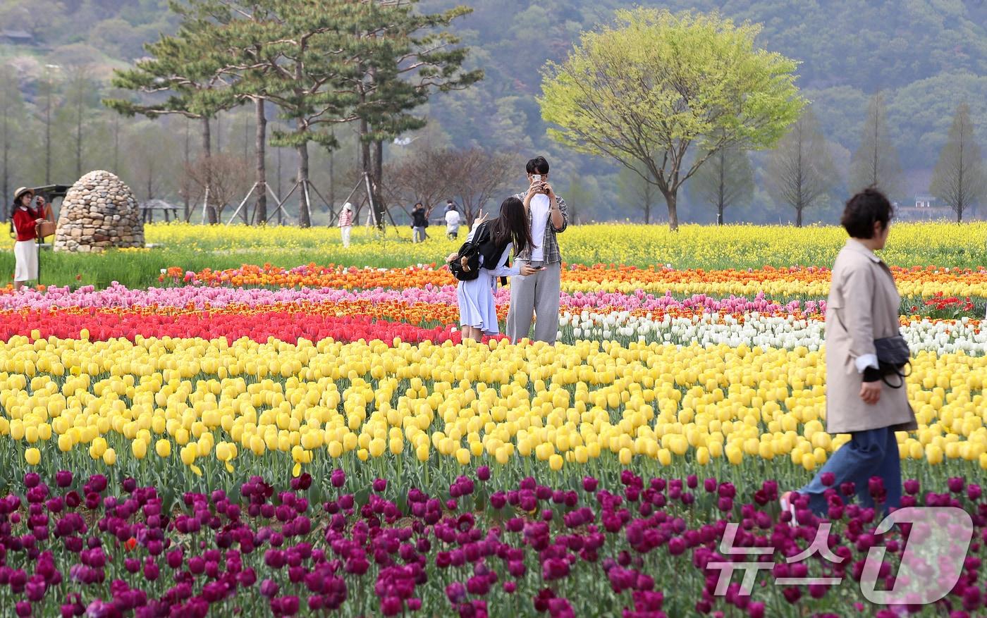 본문 이미지 - 포근한 봄 날씨를 보인 10일 경남 창녕군 남지읍 창녕낙동강유채단지에서 열린 '제21회 창녕 낙동강유채축제'를 찾은 상춘객이 봄기운을 봄기운을 만끽하고 있다. 제21회 창녕 낙동강유채축제는 오는 12일까지 진행된다. 2026.4.10 ⓒ 뉴스1 윤일지 기자