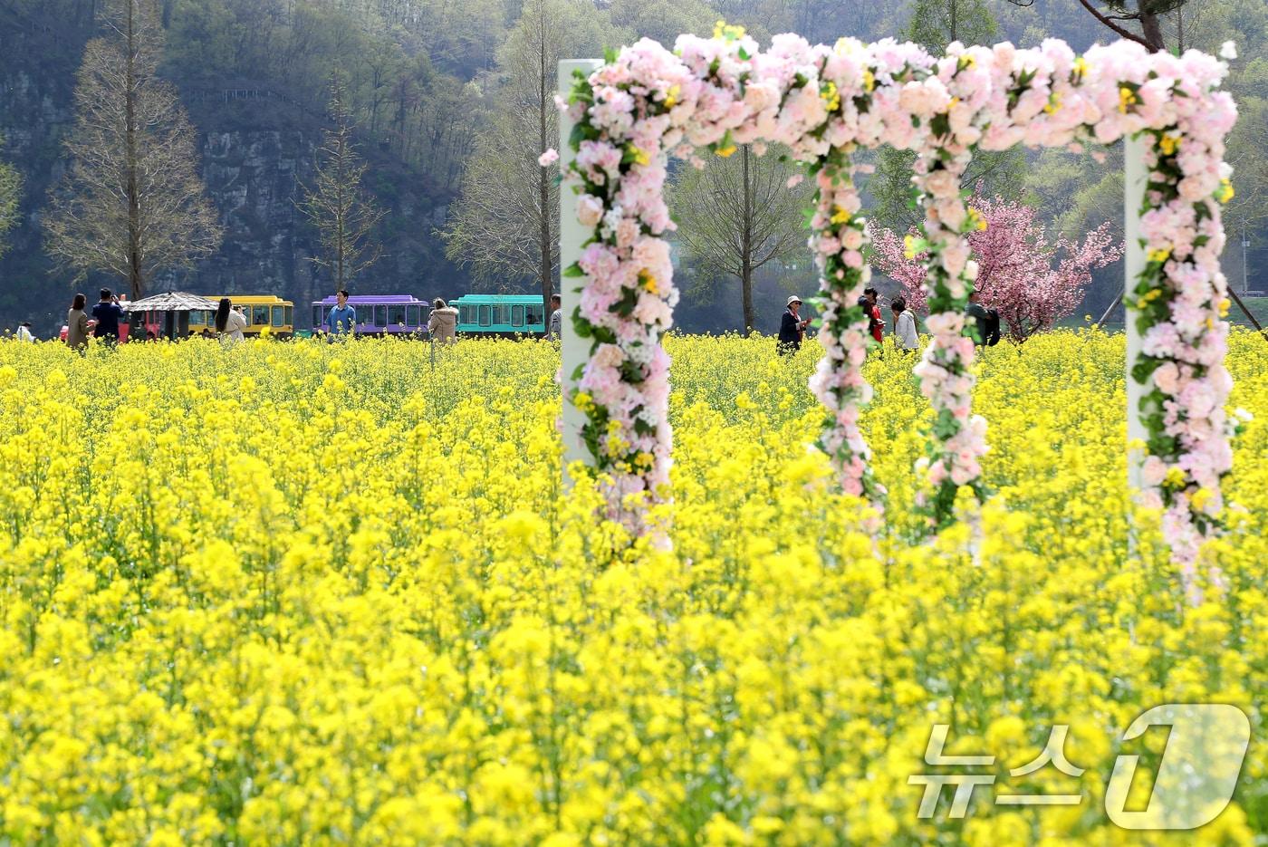 본문 이미지 - 지난 4월 열린 제21회 창녕 낙동강유채축제 모습. 2026.4.10 ⓒ 뉴스1 윤일지 기자