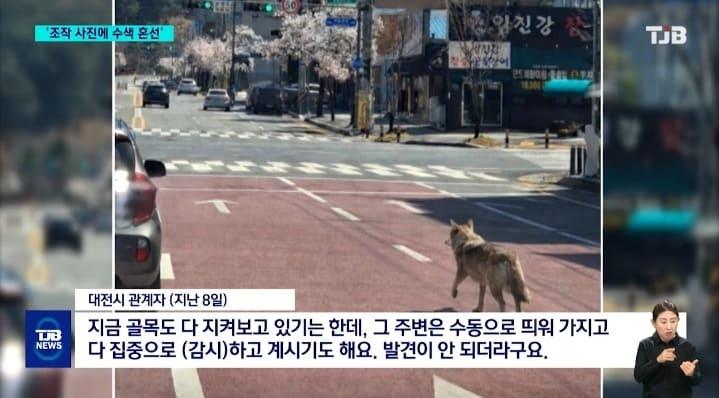 본문 이미지 - (TJS 갈무리)