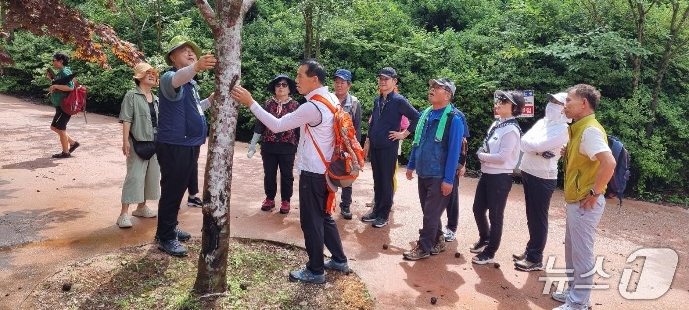 본문 이미지 - 장수군은 와룡·방화동 자연휴양림에서 운영 중인 '숲해설 프로그램' 참여 대상을 모든 방문객으로 확대한다고 10일 밝혔다.(장수군 제공. 재판매 및 DB금지)2026.4.10/뉴스1