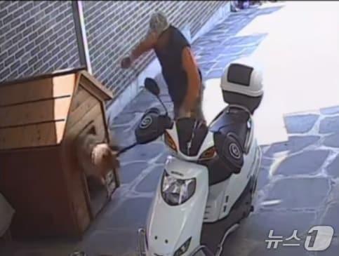 본문 이미지 - 가정집 반려견을 끌고가는 남성의 모습이 담긴 CCTV 영상. (유기동물보호단체 유엄빠 블로그 갈무리) /뉴스1