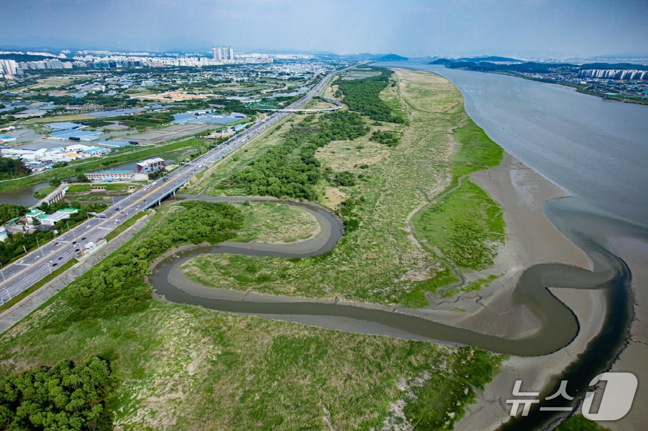 본문 이미지 - 한강 하구 고양시 구간에 펼쳐진 장항습지. (고양시 제공, 재판매 및 DB금지)