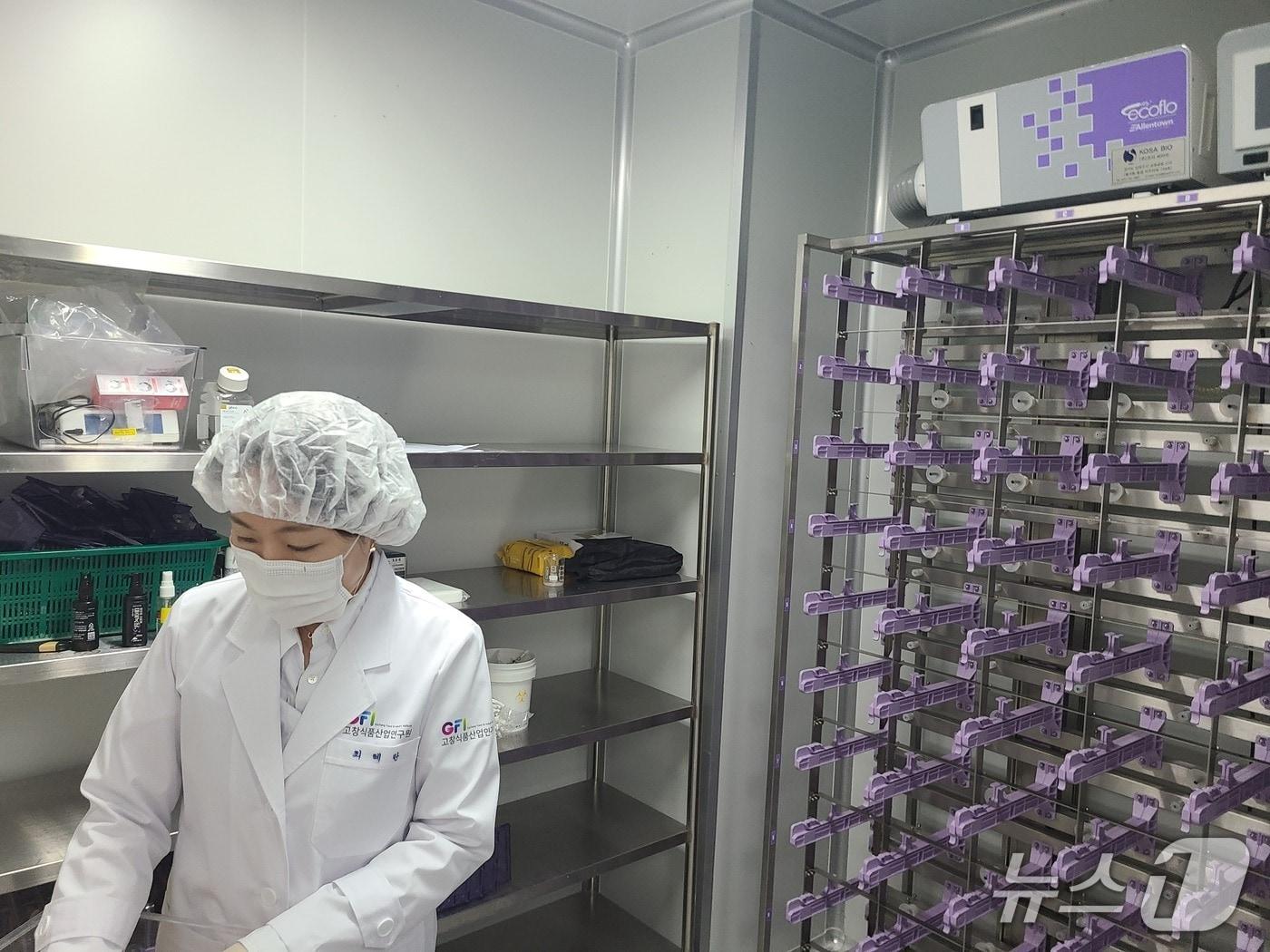 본문 이미지 - 고창식품산업연구원 복분자 추출물을 활용한 탈모 방지 소재 '복분자 리포솜'에 대해 특허를 출원했다.(고창식품산업연구원 제공. 재판매 및 DB금지)