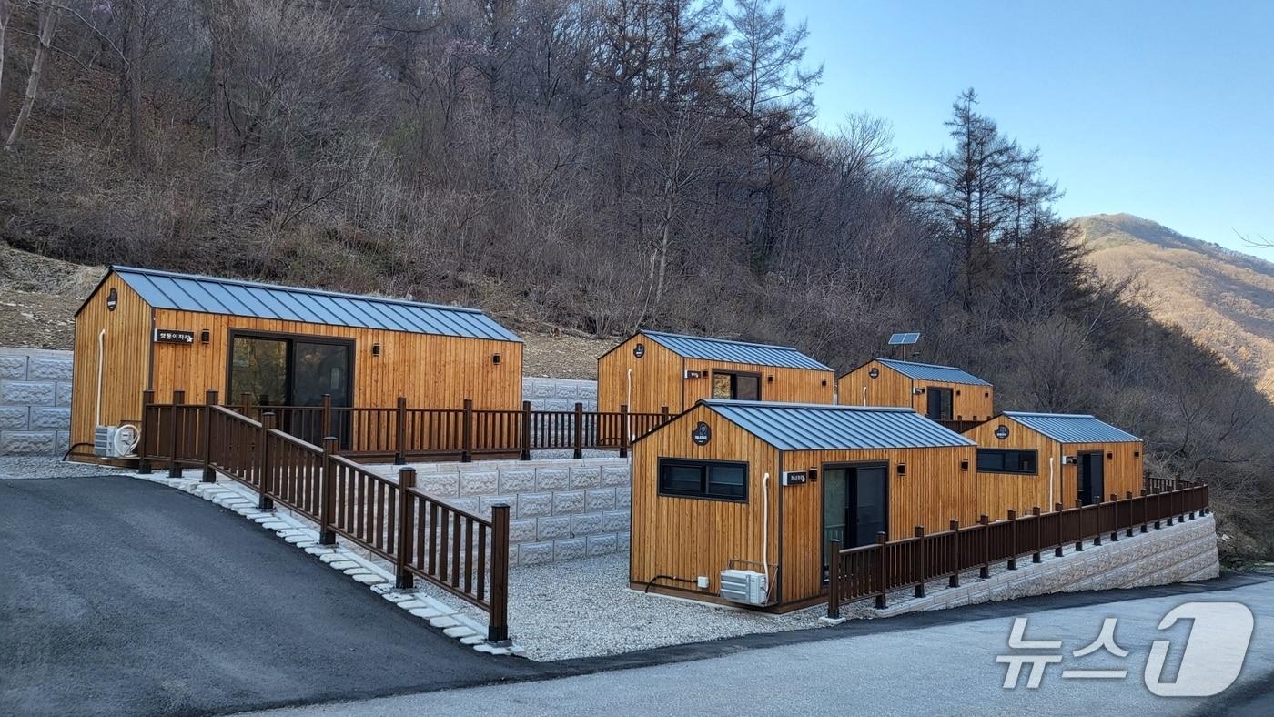 본문 이미지 - 중미산휴양림 신규조성 캐빈(산림청 국립자연휴양림관리소 제공.재판매 및 DB금지)/뉴스1
