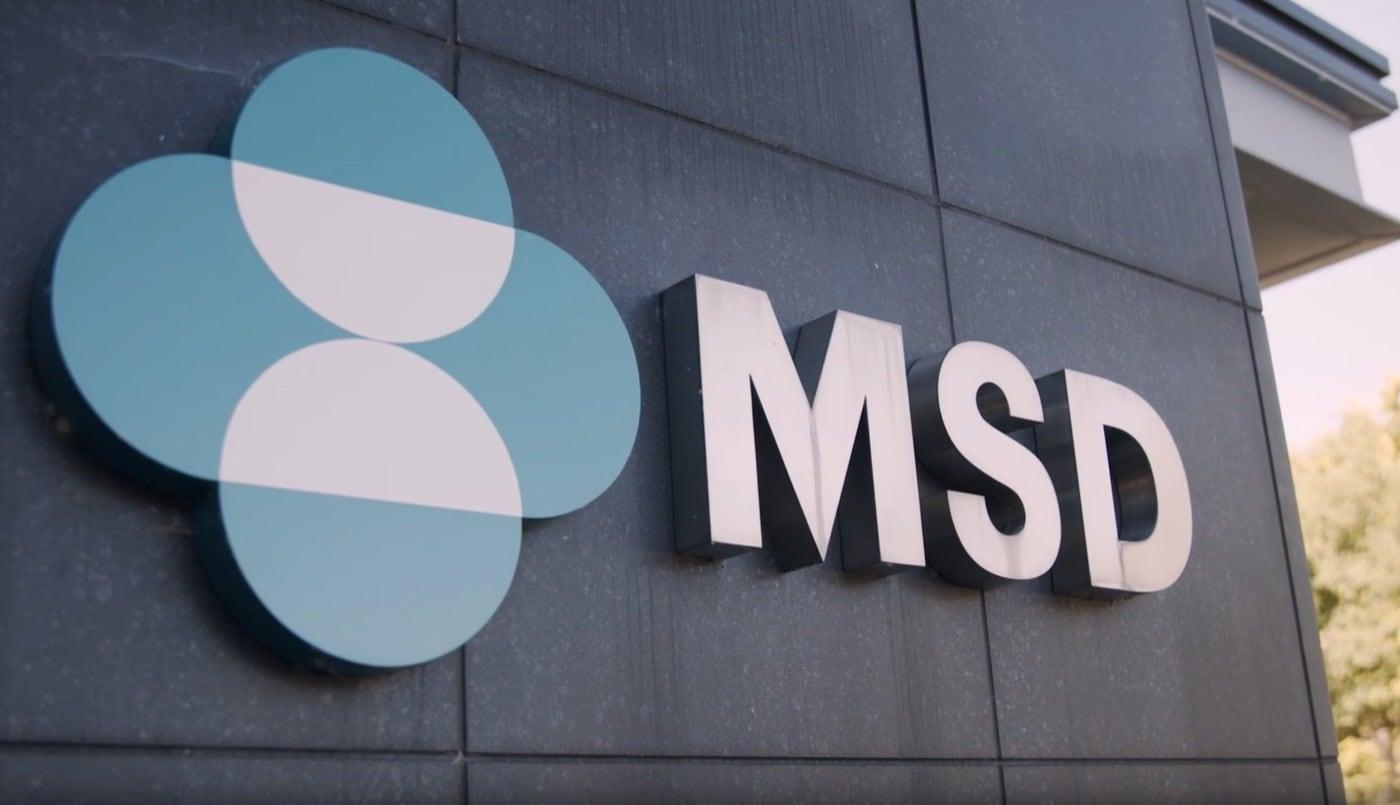 본문 이미지 - (MSD 제공)