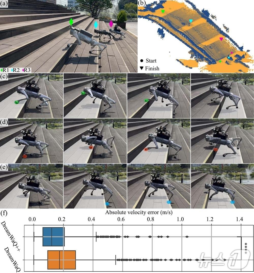 본문 이미지 - 드림워크++를 적용한 사족보행로봇의 경주 및 실험모습(KAIST 제공) /뉴스1