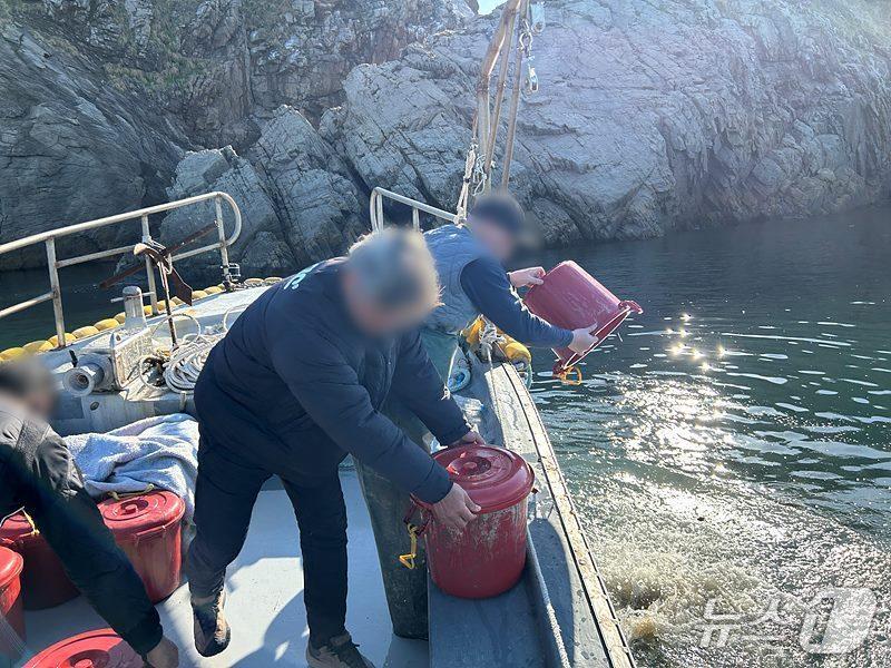 본문 이미지 - 군산해경이 불법 포획된 해삼 300㎏가량을 해상에 방류하고 있다.(군산해양경찰서 제공. 재판매 및 DB금지)