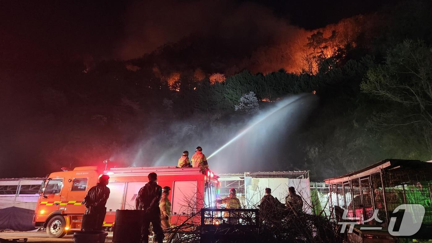 본문 이미지 -  현장활동 중인 소방대원 모습. (충남소방본부 제공, 재판매 및 DB금지) / 뉴스1