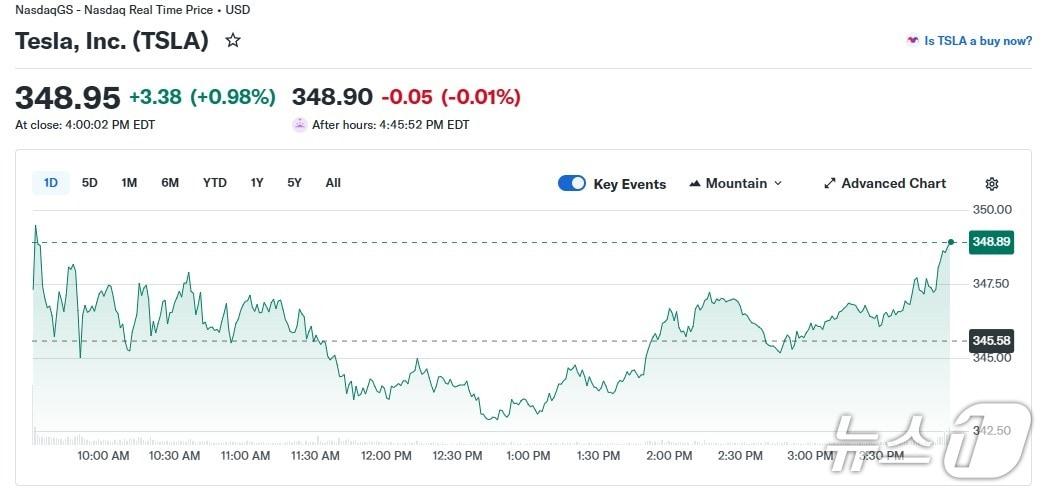 본문 이미지 - 테슬라 일일 주가 추이 - 야후 파이낸스 갈무리