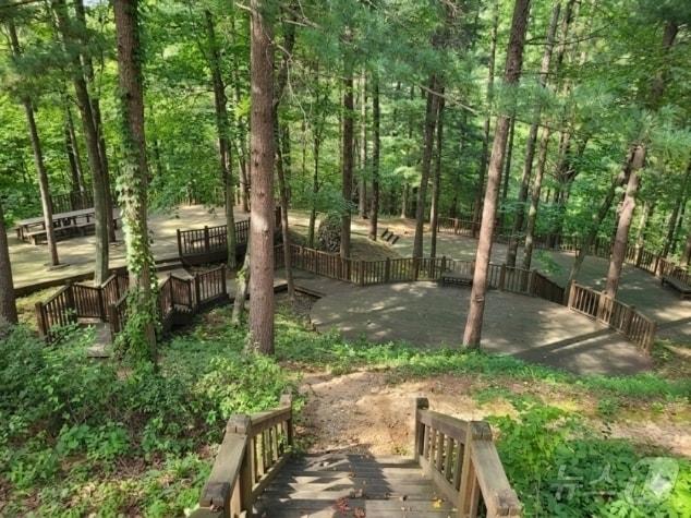 본문 이미지 - 제천시 백운면 덕동생태숲 전경.(충북도산림환경연구소 제공. 재판매 및 DB금지)