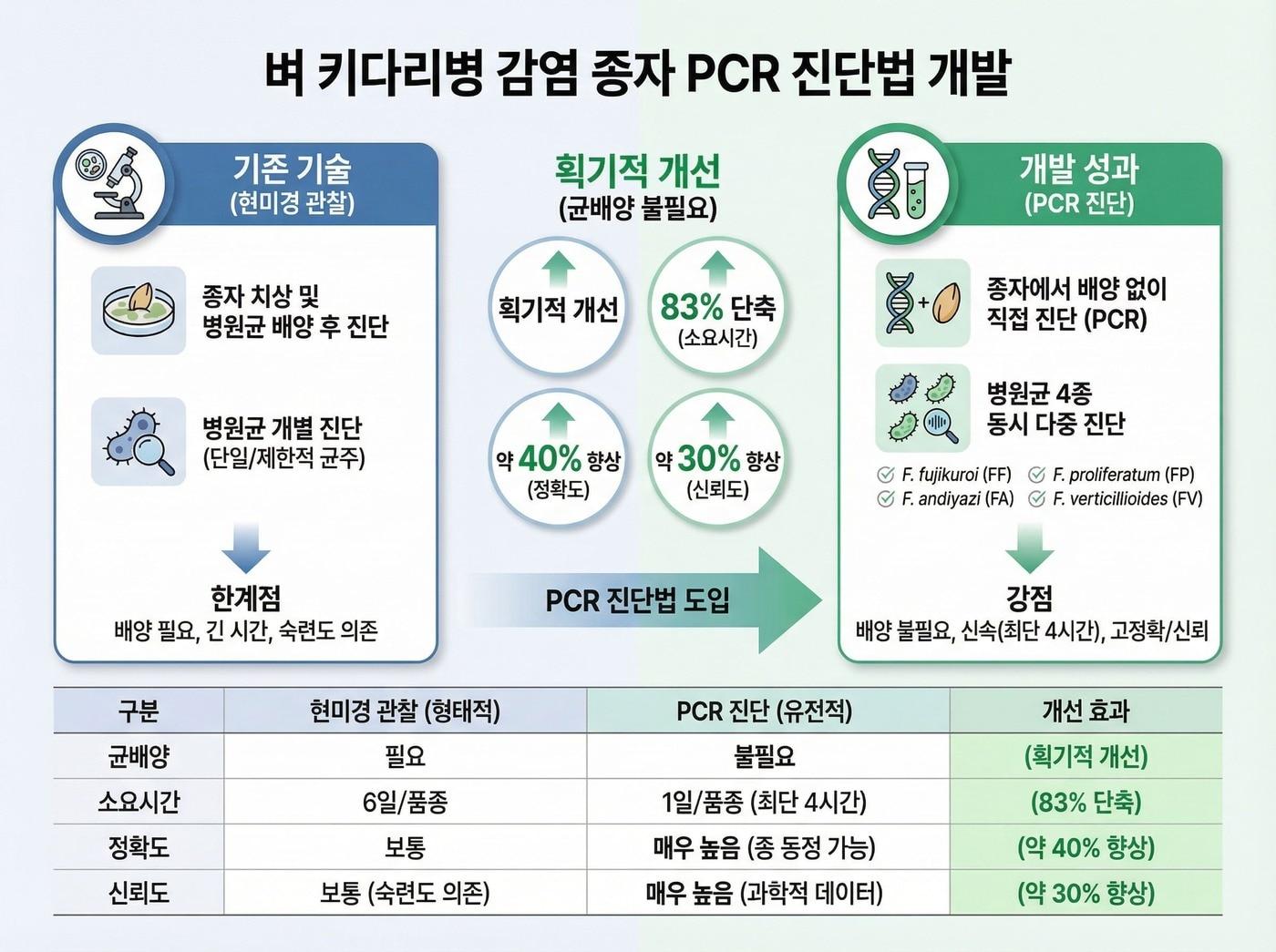 본문 이미지 - 벼 키다리병 감염 종자 PCR 진단법 개발 (국립종자원 제공. 재판매 및 DB금지) 2026.4.12/뉴스1