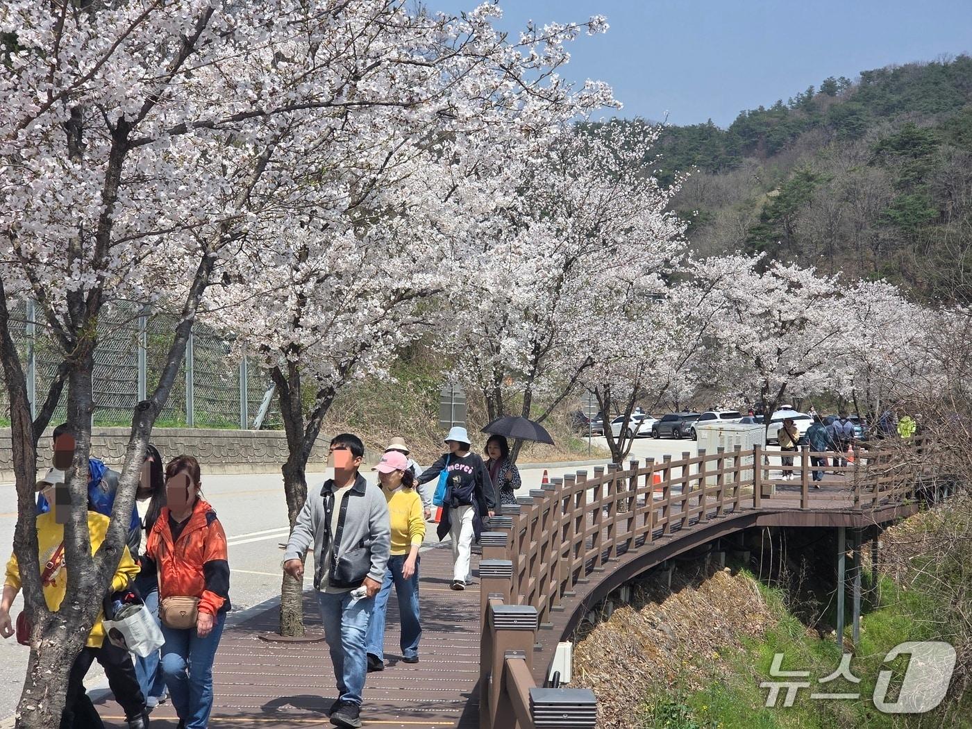 본문 이미지 - 11일 오전 11시께 나들이객들이 전북 임실군 옥정호로 향하는 길을 걷고 있다.2026.4.11/뉴스1 문채연 기자