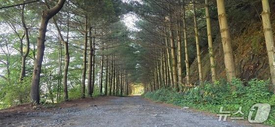 본문 이미지 - 옥화치유의숲