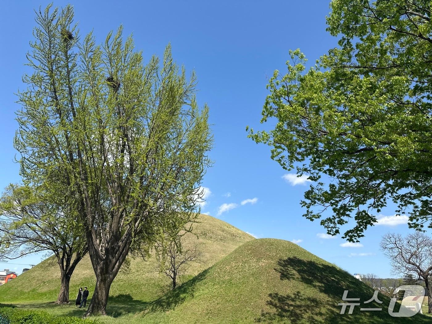 본문 이미지 - 지난 10일 경북 경주시 봉황대 일대 /뉴스1 이상휼 기자
