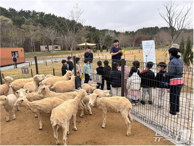 본문 이미지 - 산림교육 프로그램 운영 모습.(부산시 제공. 재판매 및 DB금지)