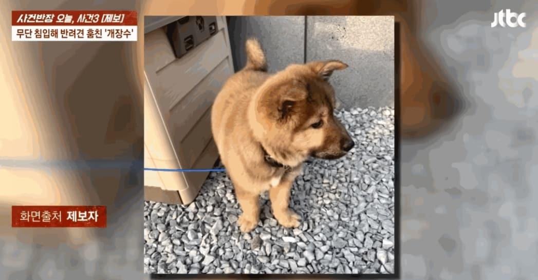 본문 이미지 - JTBC '사건반장'