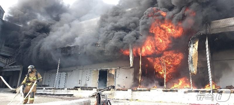 본문 이미지 - 12일 오전 8시 25분쯤 전남 완도군 군외면 원동리의 한 냉동창고에서 불이 나 소방당국이 진화작업을 벌이고 있다. (전남소방본부 제공. 재판매 및 DB금지) 2026.4.12 ⓒ 뉴스1 이수민 기자