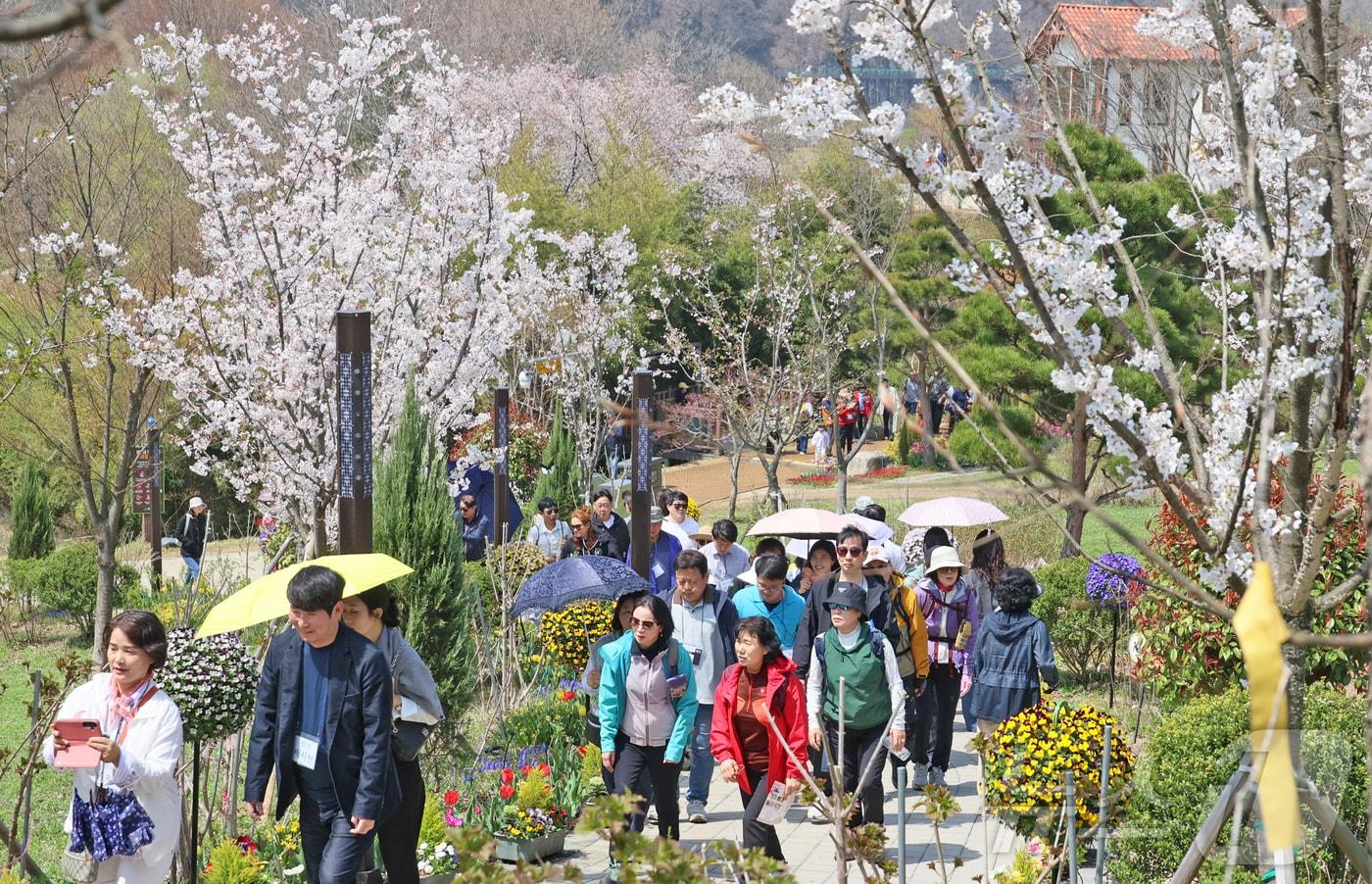 본문 이미지 - 12일 전북 임실군 운암면 옥정호에서 열린 '2026 벚꽃축제'에서 관광객들이 붕어섬 생태공원에서 다양한 꽃들과 벚꽃을 보며 봄을 만끽하고 있다.(임실군제공, 재판매 및 DB금지)2026.4.12 ⓒ 뉴스1 김동규 기자