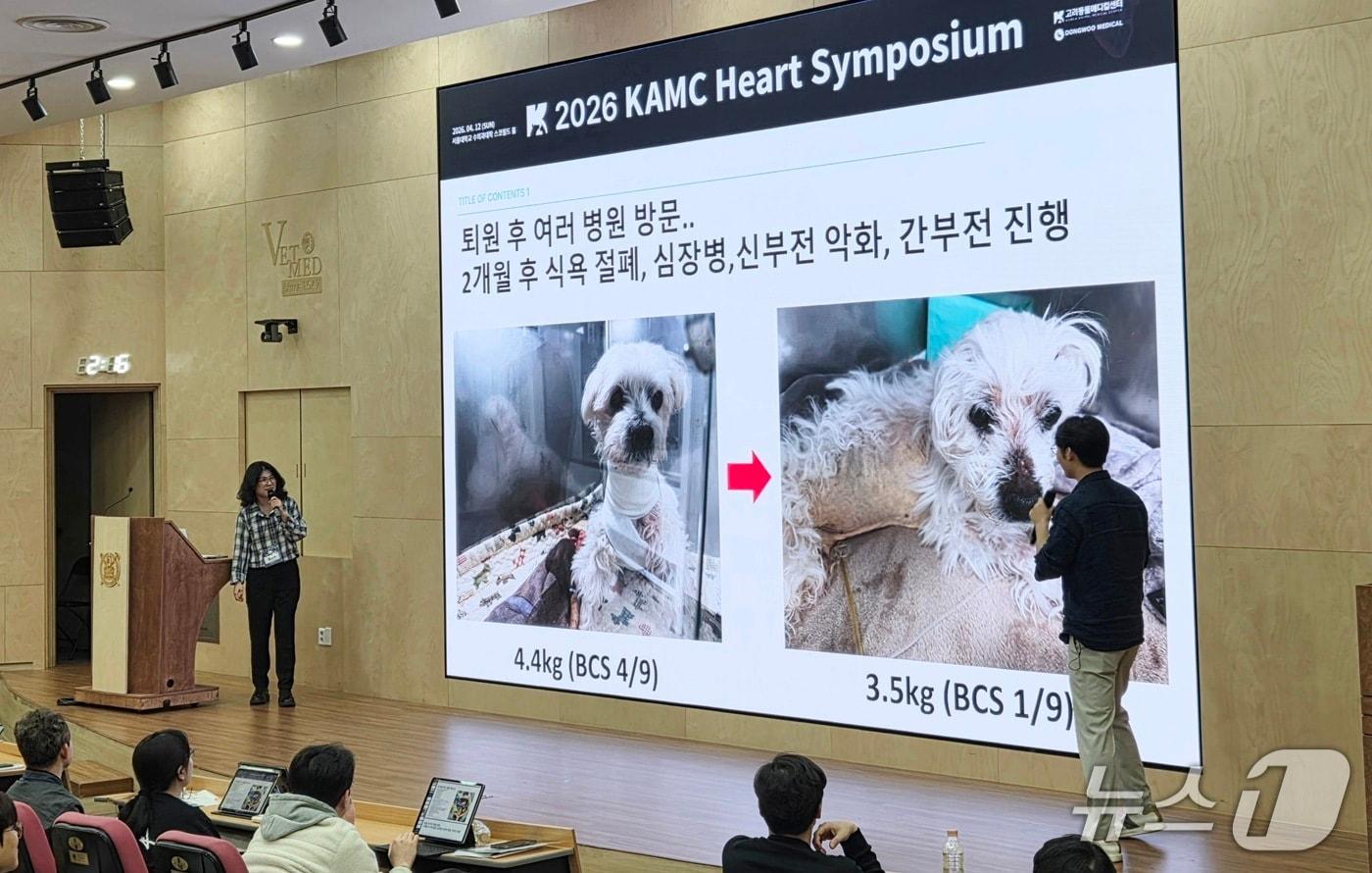 본문 이미지 - 고려동물메디컬센터 이정민 동물암센터장(오른쪽)과 엽경아 심장센터장이 12일 서울대 수의과대학 스콜필드홀에서 열린 심장 심포지엄에서 심장 질환 치료 케이스를 발표하고 있다. ⓒ 뉴스1 한송아 기자