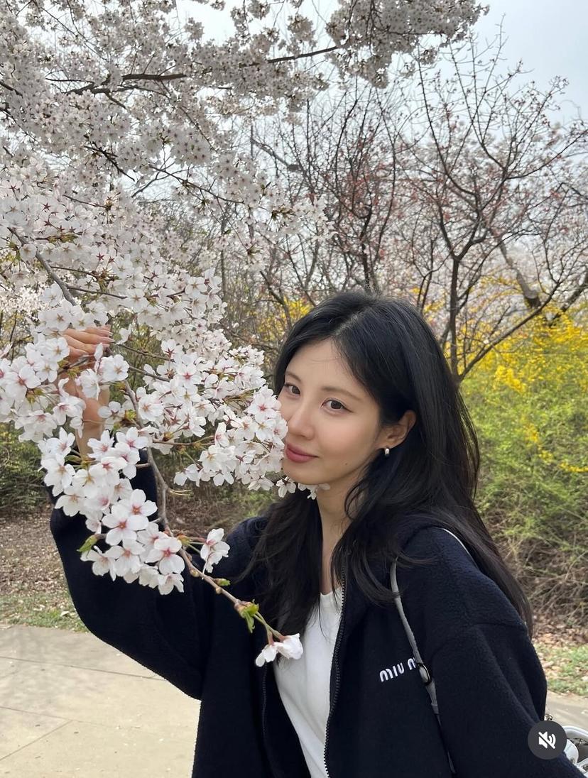 '꽃 속의 꽃' 서현, 만개한 벚꽃 사이에서 뽐낸 청순미 [N샷] - 뉴스1