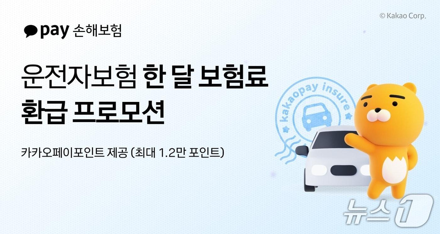 본문 이미지 - 카카오페이손해보험 제공