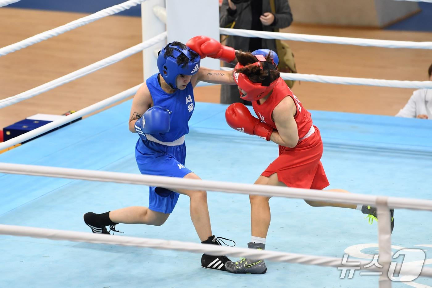 본문 이미지 - 지난해 '전국 종별복싱선수권대회' 영주시 제공. 재판매 및 DB 금지)2026.4.13/뉴스1