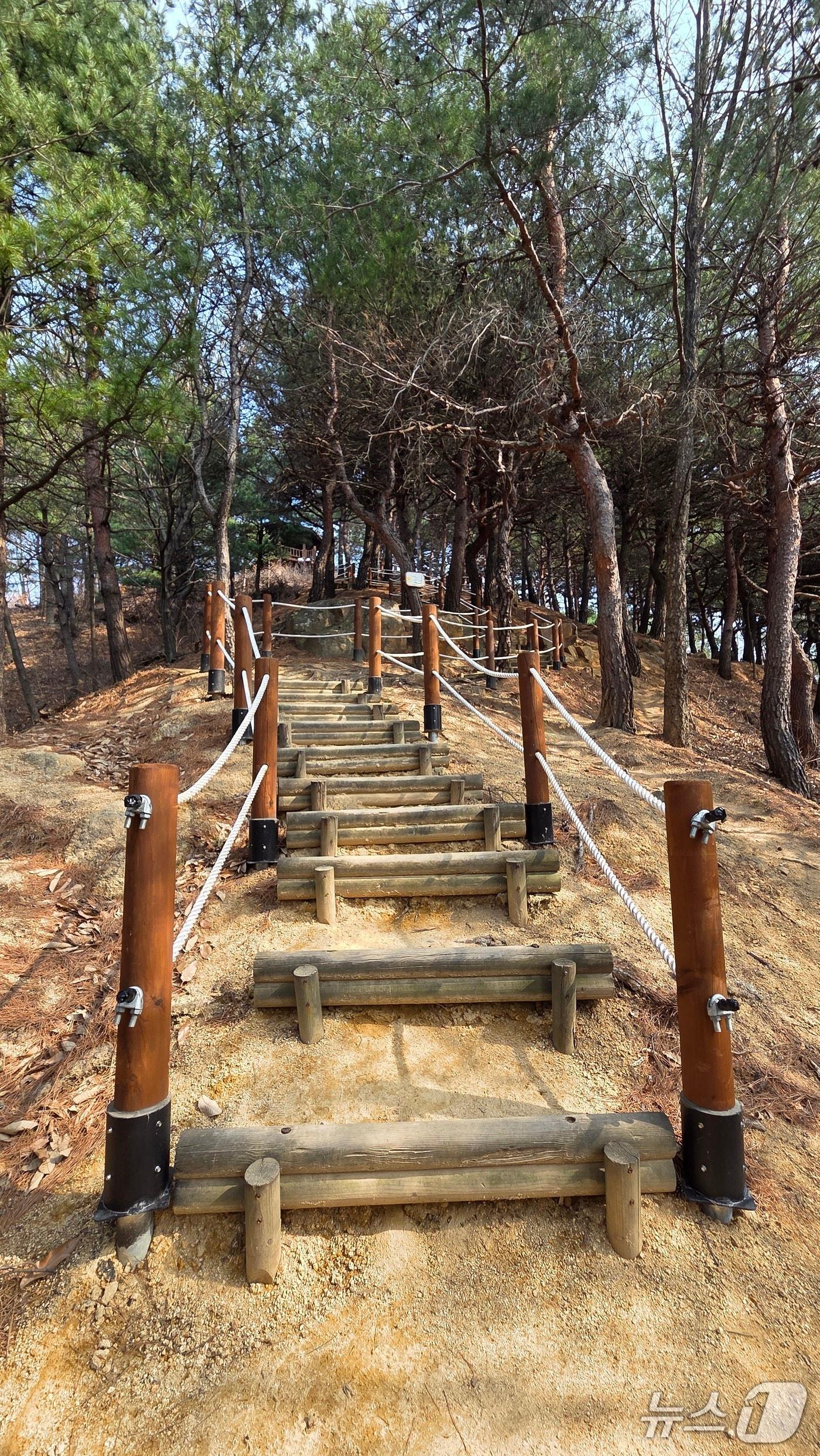 본문 이미지 - 성덕동 월대산 둘레길.(강릉시 제공, 재판매 및 DB 금지) 2026.4.13/뉴스1