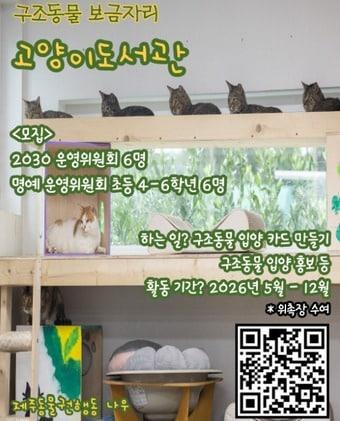 본문 이미지 - 고양이도서관 위원회 모집 포스터.(제주동물권행동 나우 제공. 재판매 및 DB 금지)