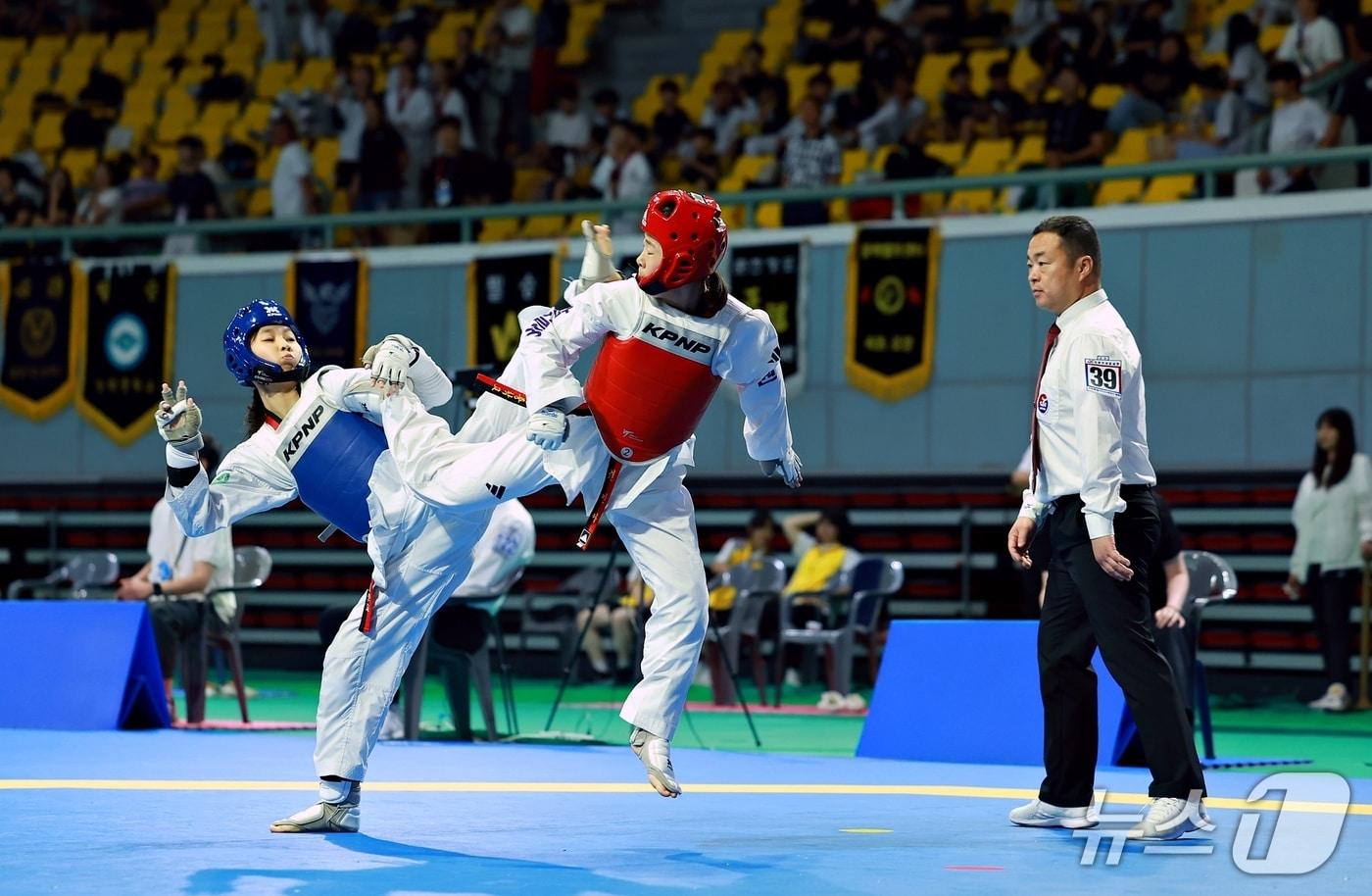 본문 이미지 - 기사 이해를 돕기 위한 강원 태백시의 과거 태권도 대회 자료 사진으로 기사 내용과 직접 관련 없음. (태백시 제공. 재판매 및 DB금지) 2025.4.13/뉴스1