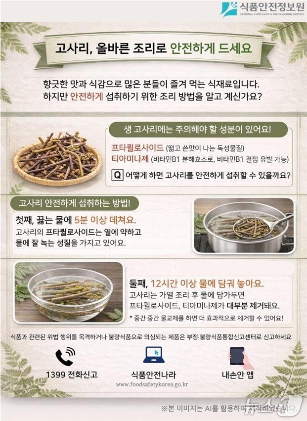 본문 이미지 - 식품안전정보원은 봄철 식탁에 자주 오르는 고사리를 약 5분간 가열 조리한 뒤 12시간 정도 물에 담가 두면 독성 성분을 제거한 채 안전하게 섭취할 수 있다고 13일 밝혔다.(식품안전정보원 제공)