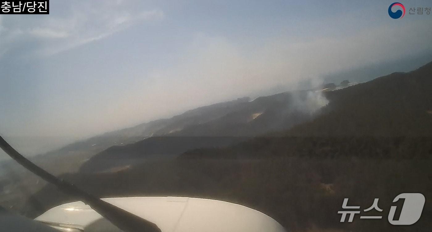 본문 이미지 -  태안 소원면 산불 현장. (산림청 제공, 재판매 및 DB금지)/ / 뉴스1