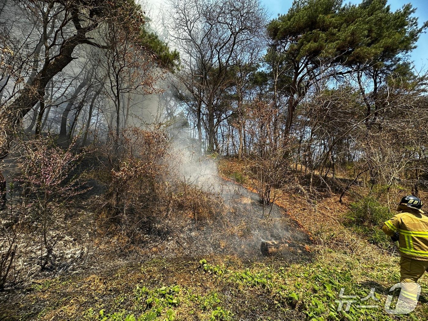 본문 이미지 - 13일 낮 12시 37분쯤 경북 영주시 조암동 야산 인근 밭에서 불이나 진화 대원들이 불을끄고 있다.(경북소방본부 제공. 재판매 및 DB 금지)2026.4.13/뉴스1