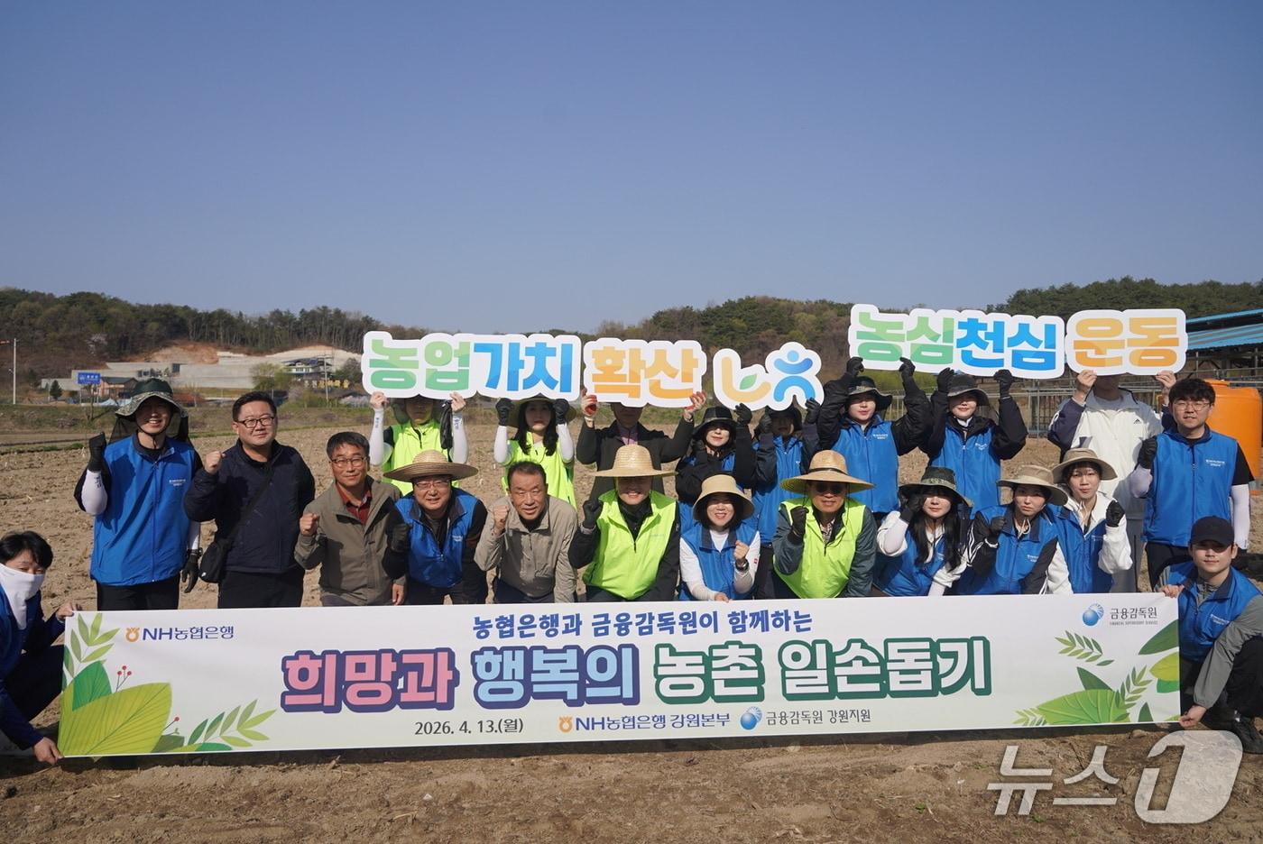 본문 이미지 - 합동 농촌 일손돕기.(농협 강원본부 제공. 재판매 및 DB금지)/뉴스1