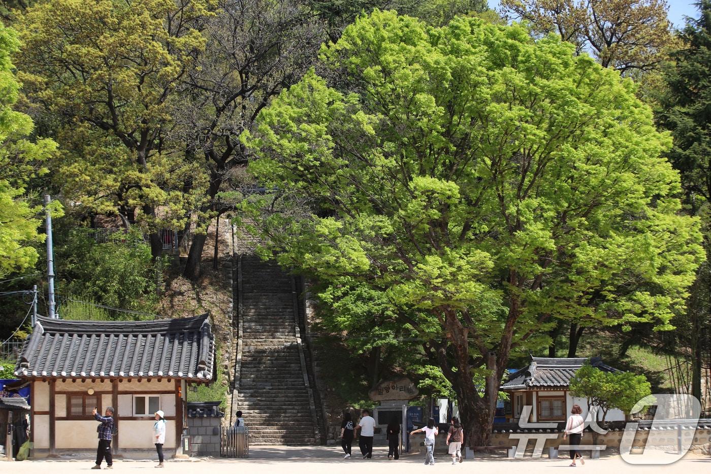 본문 이미지 - 초여름 날씨를 보인 13일 경남 밀양 영남루 앞에서 반팔 등 가벼운 차림을 한 시민들이 이동하고 있다. 2026.4.13 ⓒ 뉴스1 윤일지 기자