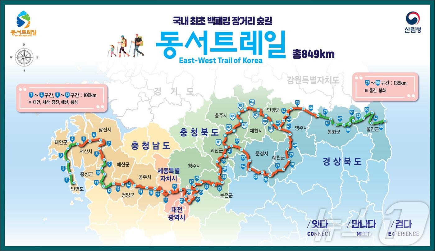 본문 이미지 - 경북도는 13일 봄철 백패킹과 숲길 트레킹 수요가 늘면서 국내 첫 장거리 백패킹 숲길인 동서트레일 경북구간이 산림레저관광의 새로운 명소로 주목받고 있다. ⓒ 뉴스1 김대벽기자