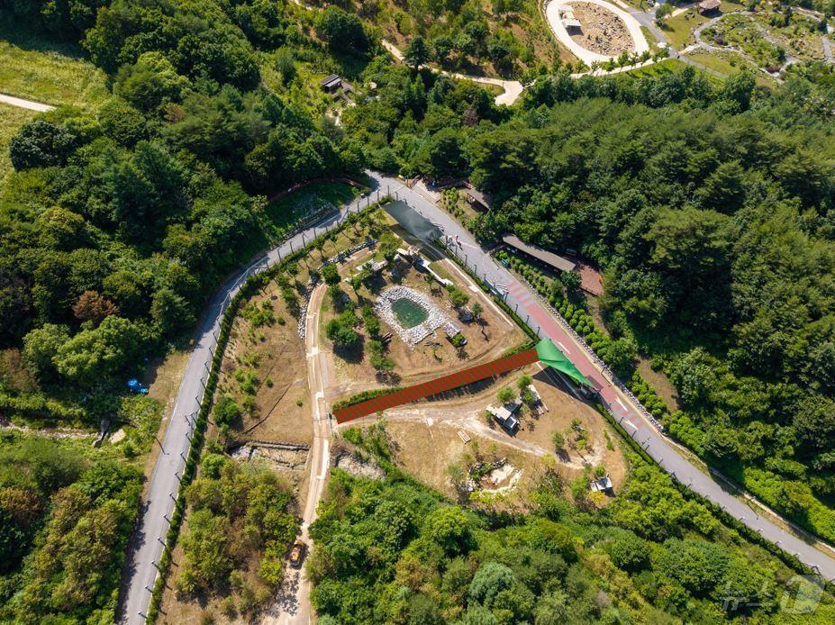 본문 이미지 - 국립백두대간수목원은 13일 백두산호랑이 복지 향상과 관람 환경 개선을 위한 방사장 환경개선 공사를 마무리하고 본격 운영에 들어갔다. /뉴스1