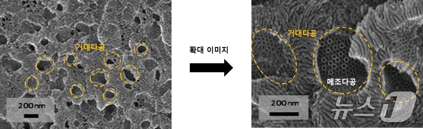 본문 이미지 - 아주대 공동 연구진이 개발한 새로운 다공성 소재의 주사전자현미경(SEM) 이미지. (아주대 제공. 재판매 및 DB 금지) 2026.4.13/뉴스1