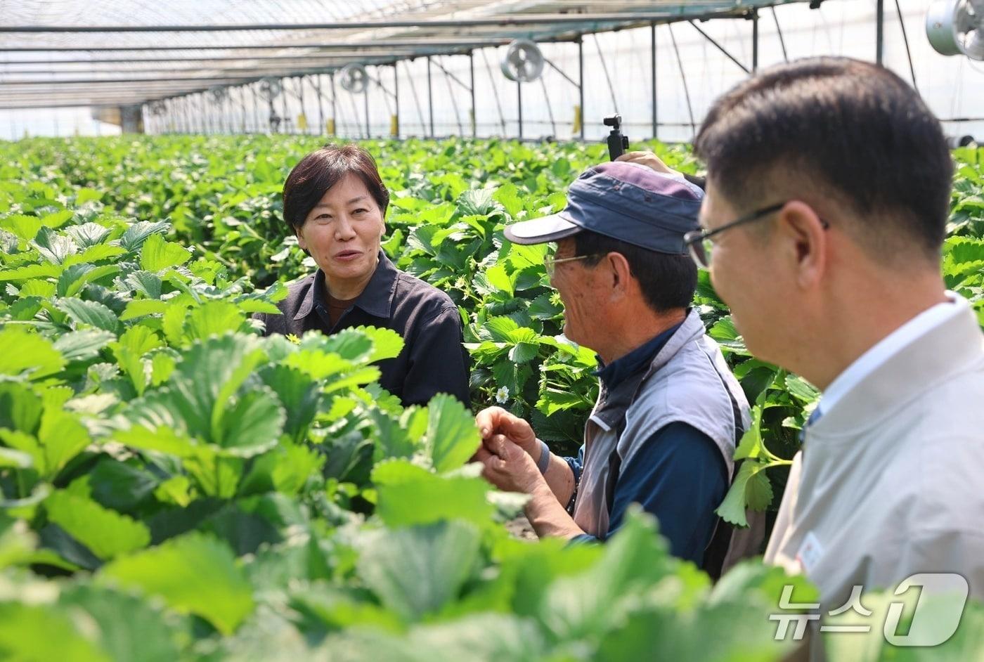 본문 이미지 - 송미령 농림축산식품부 장관이 13일 충남 서산의 시설농가와 농기계 이용 현장을 방문해 농업용 면세유 가격 상승에 따른 현장 애로를 청취하고 대응 상황을 점검하고 있다. (농식품부 제공) /2026.4.13/