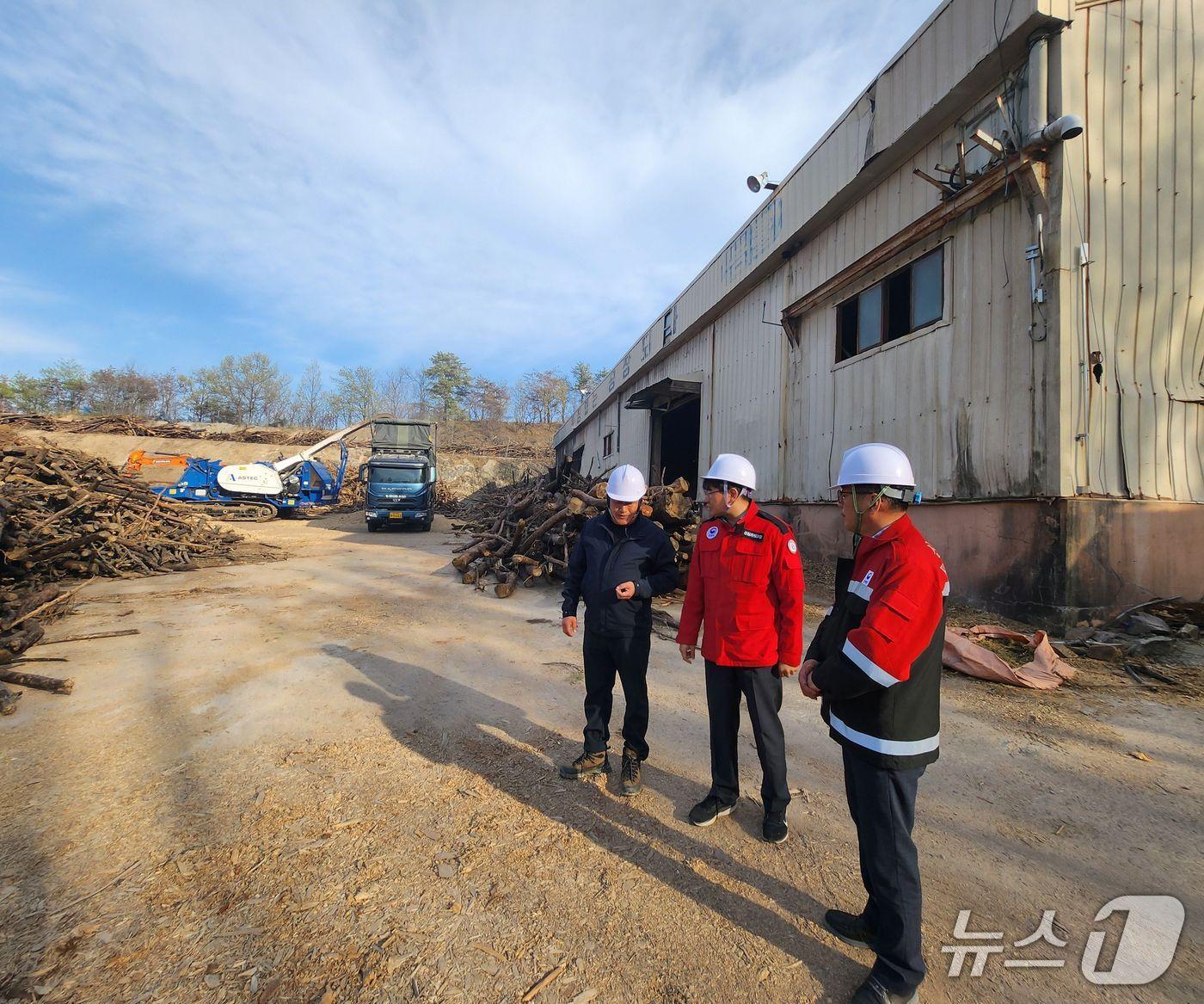 본문 이미지 - 산림청은 14일까지 경북지역 산불피해목 제거사업 추진 상황을 긴급점검한다. (산림청 제공.재판매 및 DB금지)/뉴스1