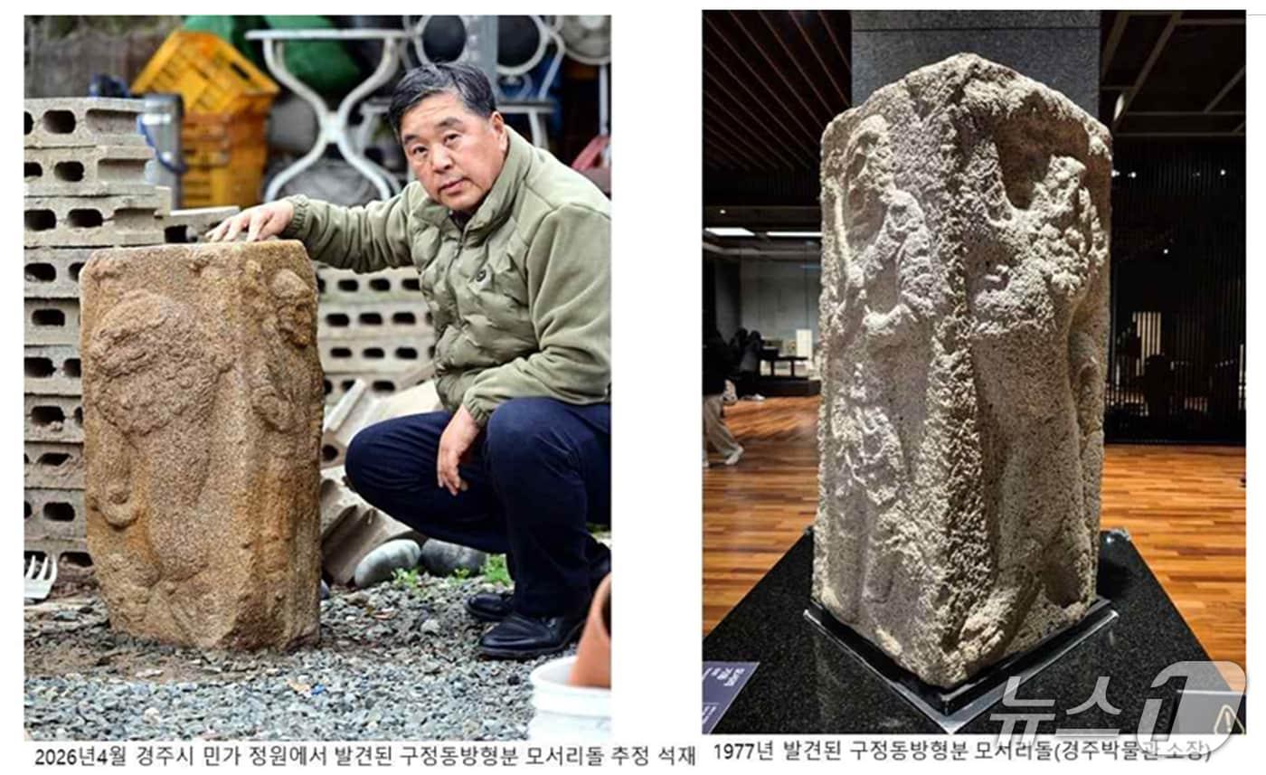 본문 이미지 - 100여년 사라진 구정동방형분 모서리돌(사자상 석인상)로 추정되는 석재가 발견돼 화재다. 13일 모서리 돌로 추정되는 석재를 발견한 이진락 경북 경주시의원 모습. (이진락 시의원제공, 재판매 DB금지) 2026.4.13/뉴스1