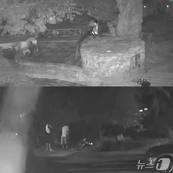 본문 이미지 - 지난해 6월 8일 오전 1시쯤 경남 거제시 일운면 한 식당 마당에서 20대 일행 3명이 식당 반려견에게 비비탄을 난사하고 있다. (비글구조네트워크 인스타그램 갈무리. 재판매 및 DB금지)