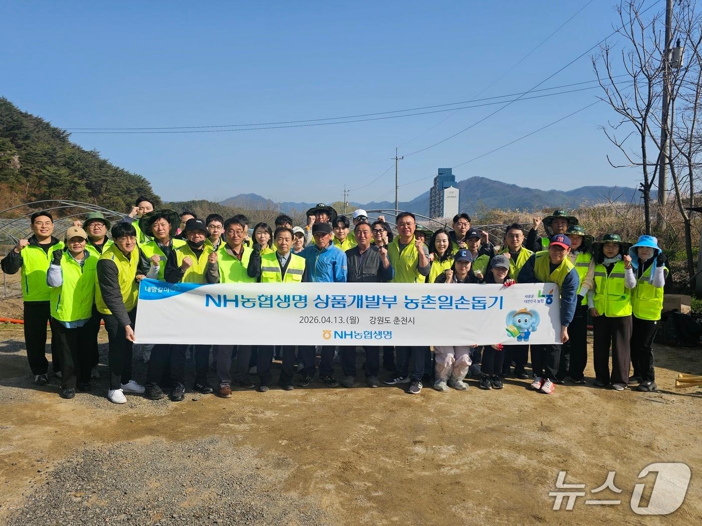 본문 이미지 - NH농협생명, 올해 첫 농촌일손돕기 실시...연 7500시간 사회공헌활동 추진/사진제공=NH농협생명