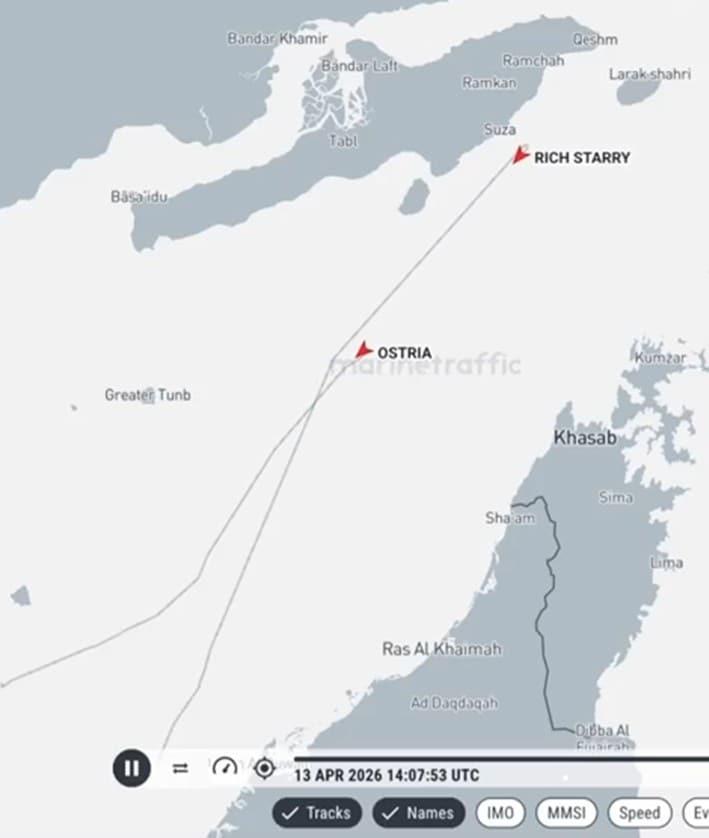 본문 이미지 - 마린트래픽 서비스 화면 